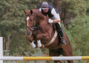 espri State Stud Celle