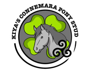 Kiyas Connemara Pony Stud