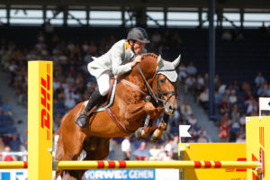 international horse breeders breeding