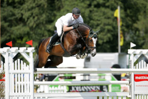 breed with international horse breeders