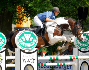 breed coloured warmblood