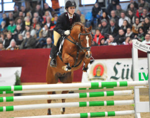 breed german riding pony