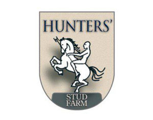 hunters stud