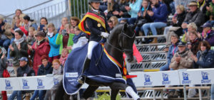 international horse breeders