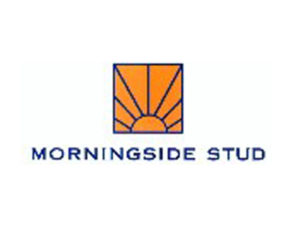 morningside stud