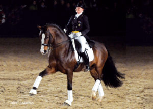 furst grandious stallion